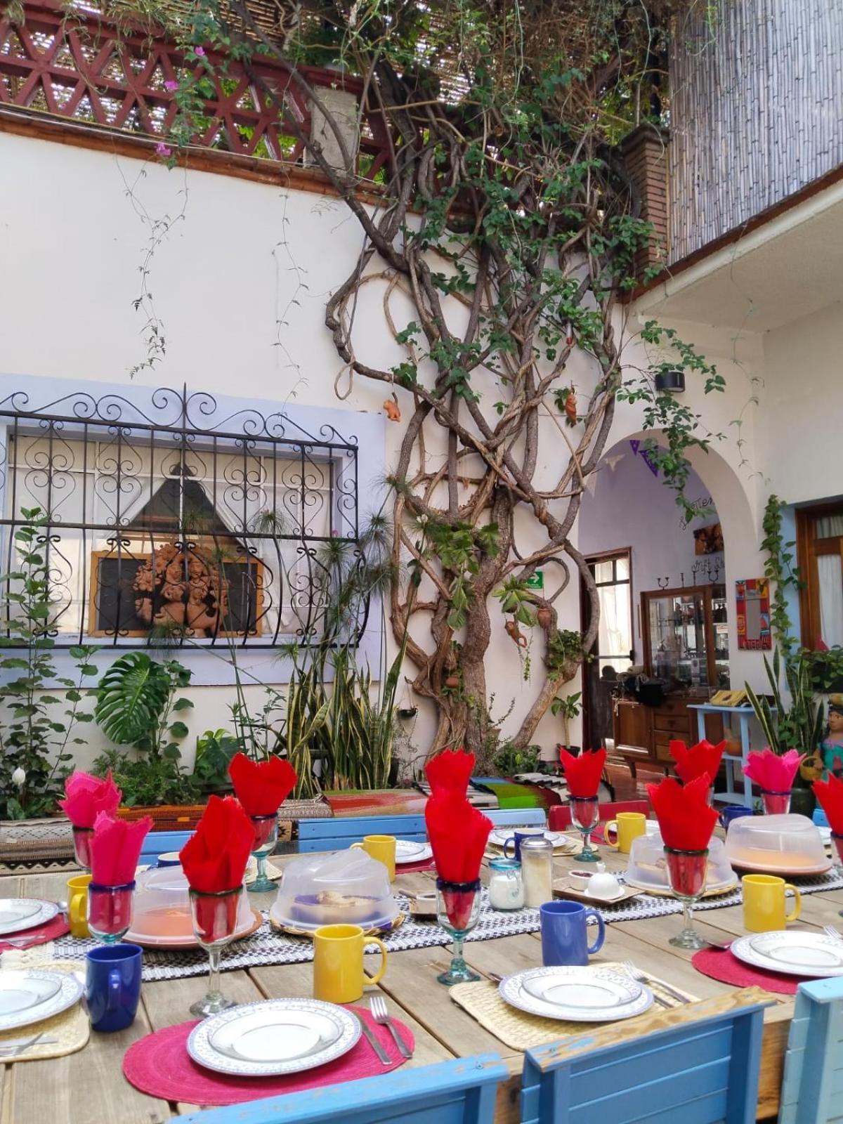 El Diablo Y La Sandia B&B Oaxaca Exterior photo